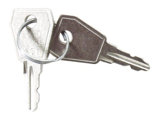 Esser spare keys No. 801 for control panels | 2 pcs