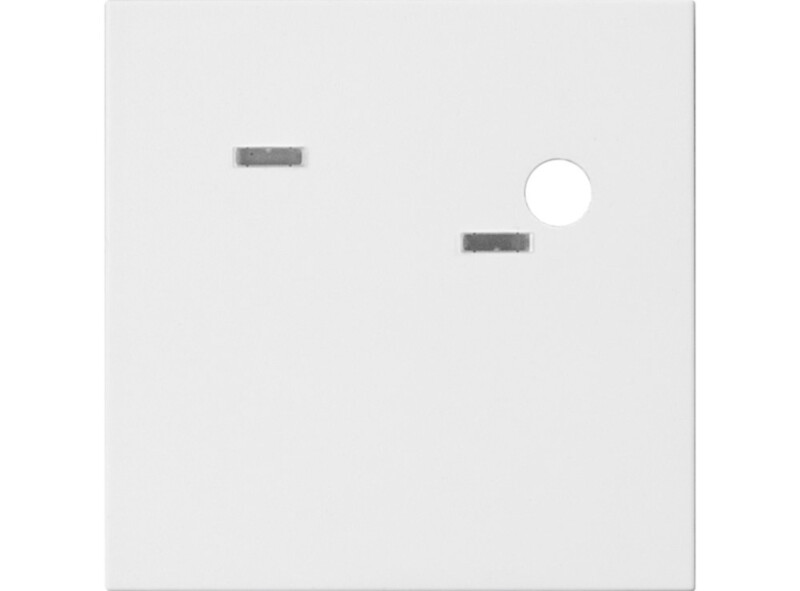 Ackermann Cover plate for call unit / pull function