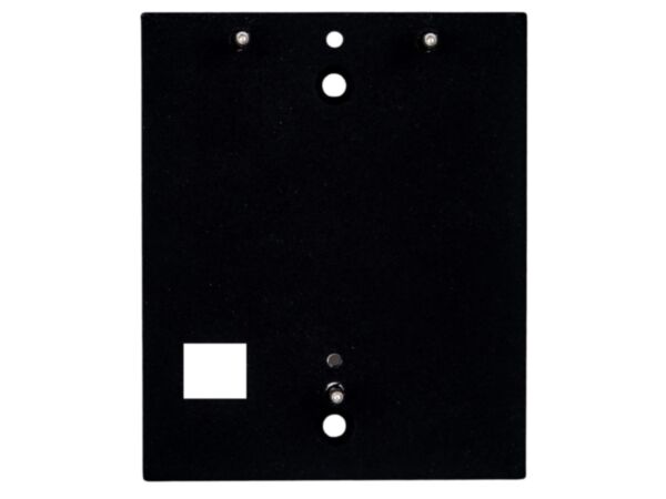 2N IP Verso - backplate for 1 module