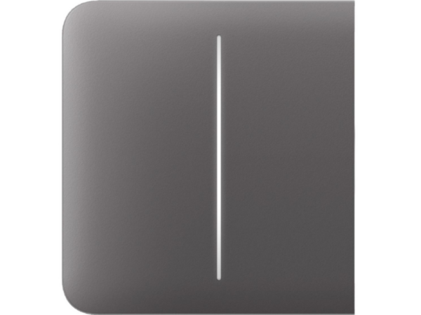 Ajax SideButton (2gang) [55] graphite