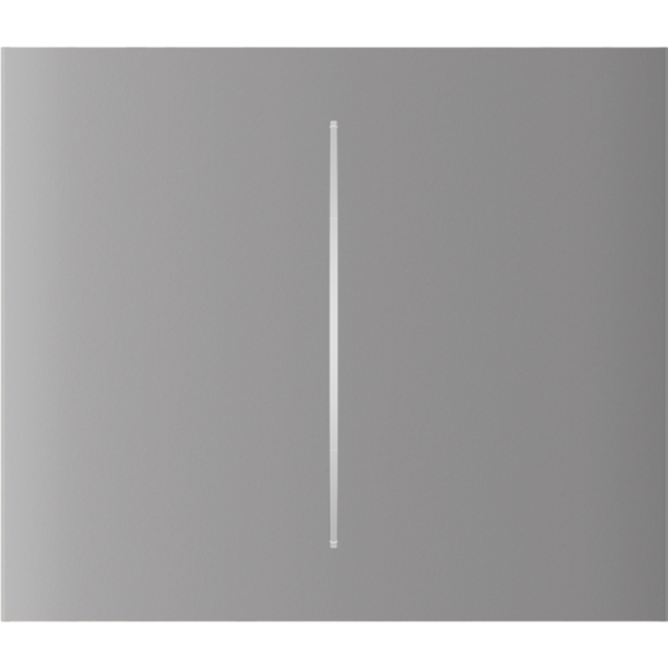 Ajax CenterButton (2gang) [55] fog