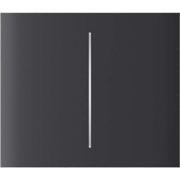 Ajax CenterButton (2gang) [55] graphite