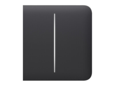 Ajax SideButton (2gang) [55] grafiit